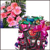 New Year Combo -code13 - Click here to View more details about this Product